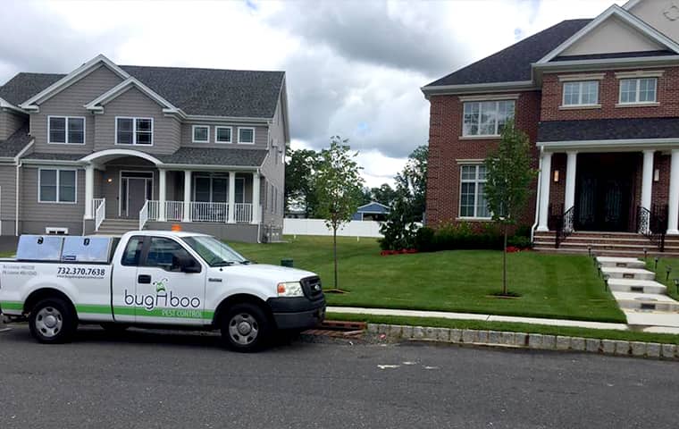 Pest Control for Residential Properties - Bugaboo Pest Control